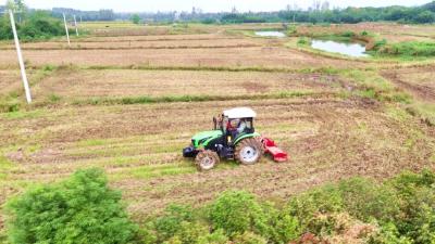 孝昌陡山：抢抓农时忙秋播 确保田地种满种足​