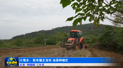 孝昌小悟：秋冬播正当时 油菜种植忙