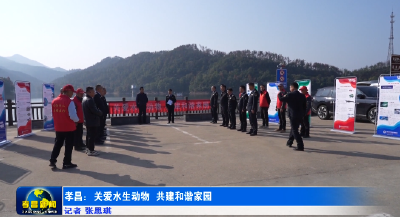 孝昌：关爱水生动物  共建和谐家园