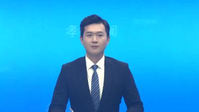 省残联到孝昌县调研残疾人服务工作