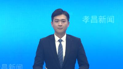 深孝同心  情暖桑梓  深圳市湖北孝昌商会爱心助学助残活动举行