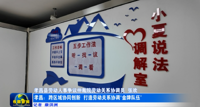 孝昌：跨区域协同创新 打造劳动关系协调“金牌队伍”
