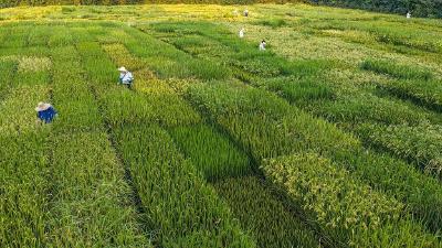 聚焦22类重点领域，国办最新部署！