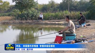 孝昌：田园垂钓享惬意  智慧养殖促增收