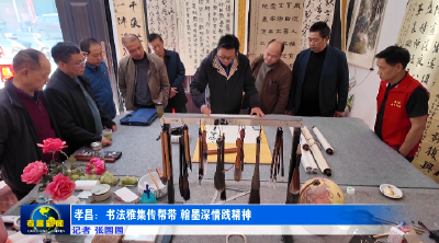 孝昌：书法雅集传帮带 翰墨深情践精神