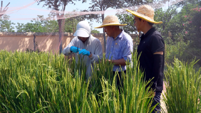 《中国青年报》头版关注孝昌！