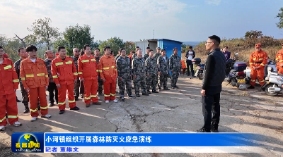 小河镇组织开展森林防灭火应急演练