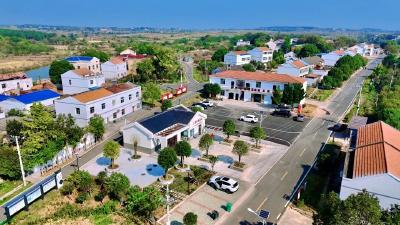 建设副中心 打造增长极·落实在一线丨孝昌卫店：红色热土绘新景 产业融合促振兴 