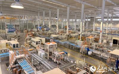 行进中国|孝南的“纸”力奇迹