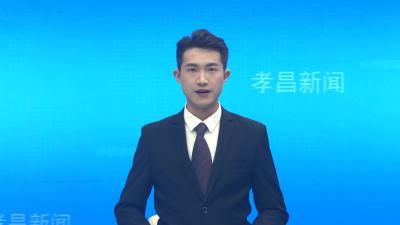 季店乡：野菊花铺就金色“致富路”