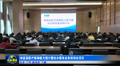 孝昌县医疗保障能力提升暨经办服务业务培训会召开