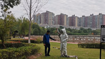 孝昌：多部门联合高效清除扰民马蜂窝  获市民点赞