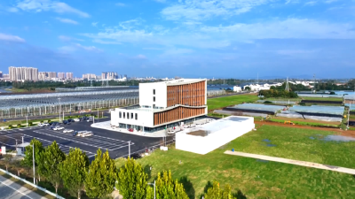 田间课堂解锁孝昌“智慧农业”新体验