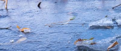 低温跌至冰点！湖北即将开启速冻模式