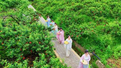 孝昌桃：从区域特产到全国名片