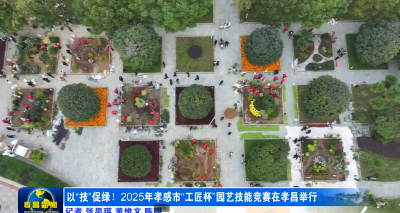 以“技”促绿！2025年孝感市“工匠杯”园艺技能竞赛在孝昌举行