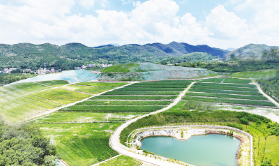 “群众主体+微改实治”：孝昌小河镇国土整治成全省优秀标杆