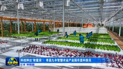 科技种出“致富菜”！孝昌九丰智慧农业产业园尽显科技范