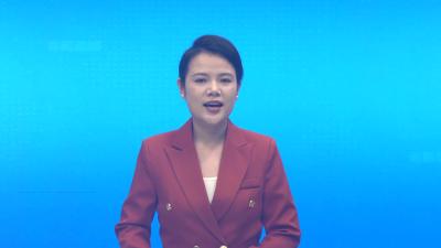 全市医保基金突出问题专项整治“百日行动”推进会召开