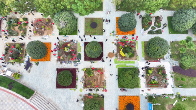 以“技”促绿！2025年孝感市“工匠杯”园艺技能竞赛在孝昌举行