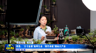 孝昌：“方寸盆景”触网生金 “绿色动能”提质兴业