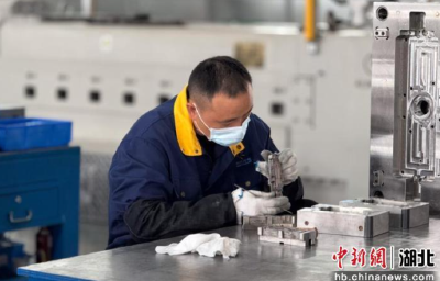 汉川市：培育“专精特新”企业 建设优质企业雁阵梯队