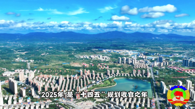 喜迎两会 · 政协委员展风采｜2025年，他们这样履职！