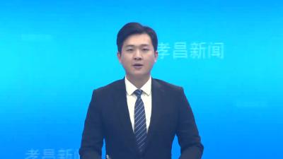 孝昌县召开特色旅游目的地建设行动暨孙家畈革命旧址文化旅游区创建4A景区会议