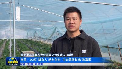 孝昌：90后“新农人”返乡创业  生态果园结出“致富果”