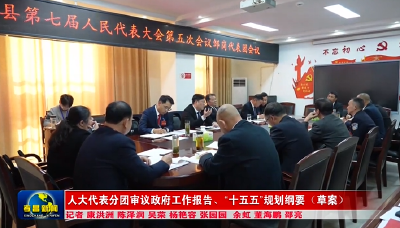 人大代表分团审议政府工作报告、“十五五”规划纲要（草案）