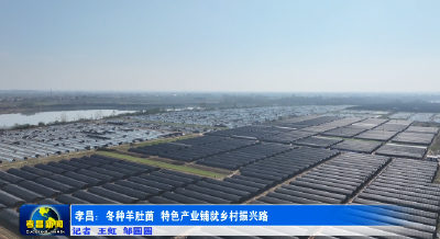 亩产值3万元！这里“冬闲田”种出“软黄金” 