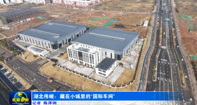 藏在小城里的“国际车间”，产品直通德日墨，它凭什么？