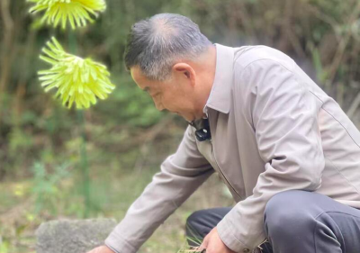 三代村民八十余载守护 浙江籍烈士阳新的“家”