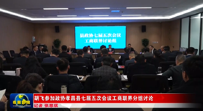 胡飞参加政协孝昌县七届五次会议工商联界分组讨论