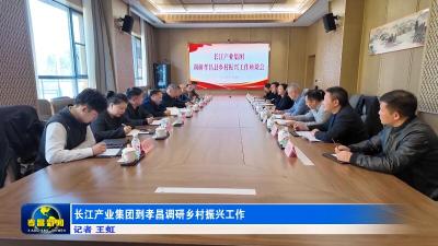 长江产业集团到孝昌调研乡村振兴工作