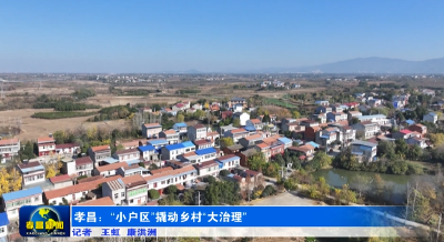 孝昌：“小户区”撬动乡村“大治理” 