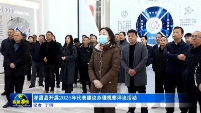 孝昌县开展2025年代表建议办理视察评议活动