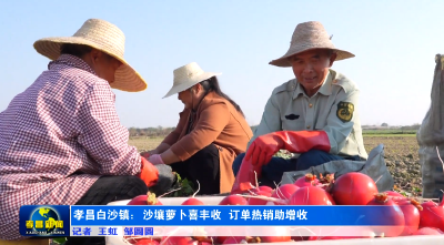 孝昌萝卜的“凡尔赛”，这份乡愁有点甜