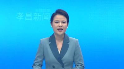 全市固定污染源自行监测规范化管理技术帮扶会在孝昌召开