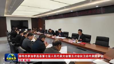 蔡传杰参加孝昌县第七届人民代表大会第五次会议卫店代表团审议