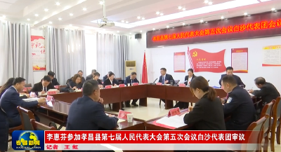 李惠芬参加白沙代表团审议 