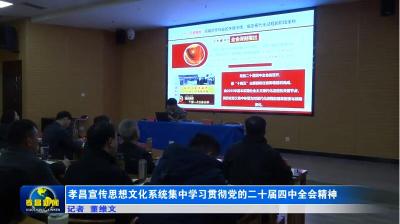 孝昌宣传思想文化系统集中学习贯彻党的二十届四中全会精神