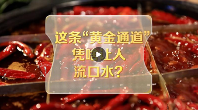 改革者 正青春｜这条“黄金通道”凭啥让人流口水？