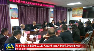 胡飞参加季店代表团审议 