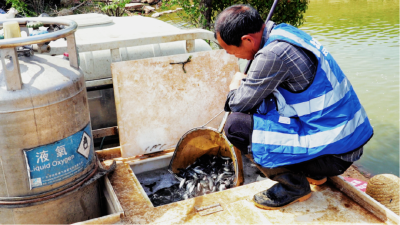 特种养殖+休闲渔业 孝昌退伍军人黄念鹏打造智慧渔场新样本