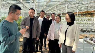 汉川市刘家隔镇“组团”赴孝昌学习