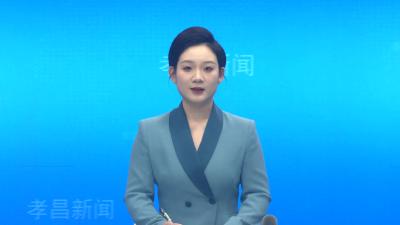 孝昌：“小户区”撬动乡村“大治理”