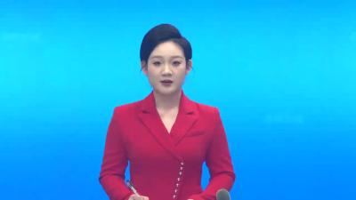 李惠芬参加政协孝昌县七届五次会议农业、经济界分组讨论