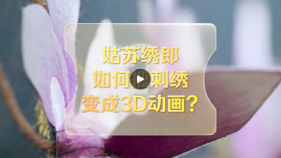 改革者 正青春｜姑苏绣郎如何把刺绣变成3D动画？