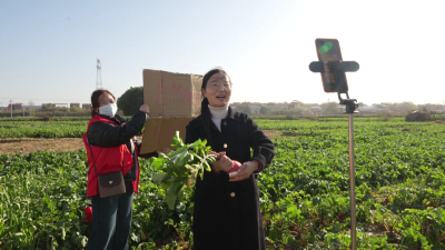 手机成为“新农具”  技能培训助力“江河萝卜”俏四方